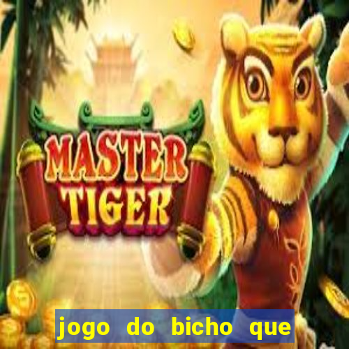 jogo do bicho que paga no pix